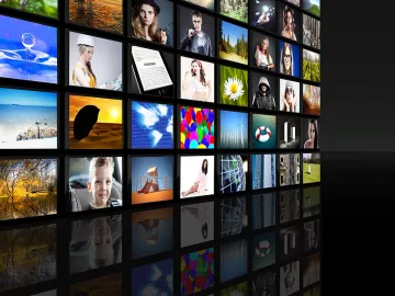 chameleon screens